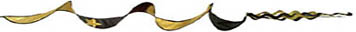 party_favor_horizontal