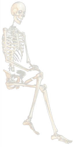 skeleton_bkgrd